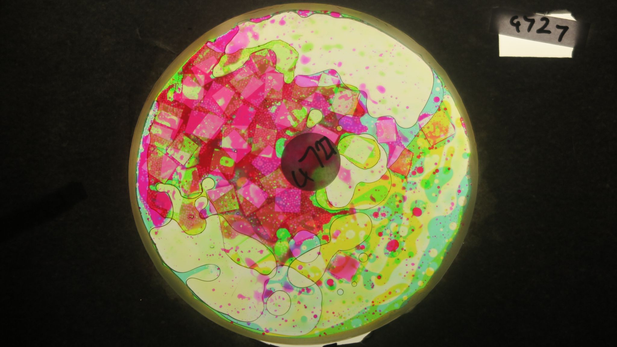 BV4727 bubble vision oil wheel